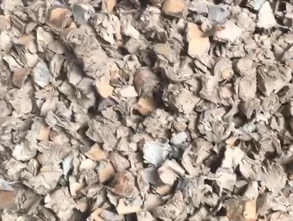天天干天天射天天大爽 双轴撕碎机撕碎废纸筒、废纸箱效果展示